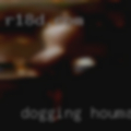 Dogging Houma