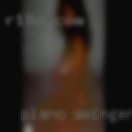 Plano swinger